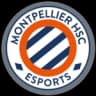 MHSC Esport