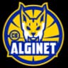 Алгинет