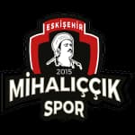Михалыччик СК