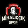 Михалыччик СК