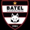 Бател Гуарапува U17