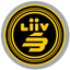 Liiv SANDBOX