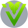IVY