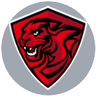 Cheetah Gaming