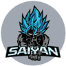 Team Saiyan