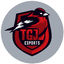 TGJ Esports