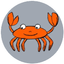 Boston crab