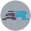 Arctic Raptors