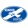 ШД Кондор Годешич