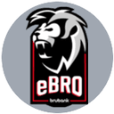 eBRO Gaming