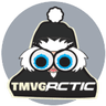 TMVG RCTIC