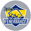 1907 Fenerbahçe Esports