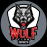 Wolf Club Esports