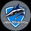Vega Squadron