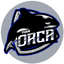 Team Orca