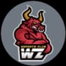 WanZhen Esports Club