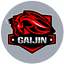 GAIJIN