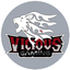Vicious Gaming