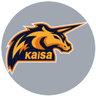 Kaisa Gaming