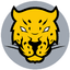 Jaguares Impetus