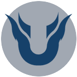 Team Unique