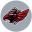 Aalborg Rebels