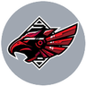 Aalborg Rebels