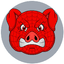 Spider Pigzs