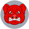 Spider Pigzs