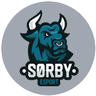Sørby eSport