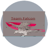 Team Falcon