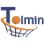 Толмин