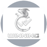 Winning Gaming