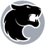 FURIA Esports