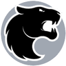 FURIA Esports