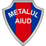 АФК Металу 2016 Аюд