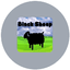 Black Sheep!