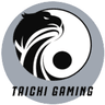 Taichi Gaming