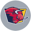 Red Bulls