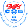 ФК Тата Стил