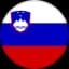 Словения U19