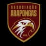 ААФ/Арапонгас U17