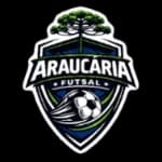 Араукария U17