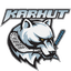 ФБТ Кархут