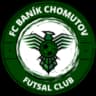 ФК Баник Хомутов