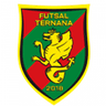 ТИП Пауэр Футзал Тернана