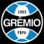 Гремио U14