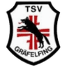ТСВ Графельфинг U19