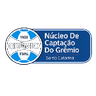 Нуклео КАП Гремио U13
