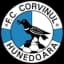 ФК Корвинул Хунедоара U15